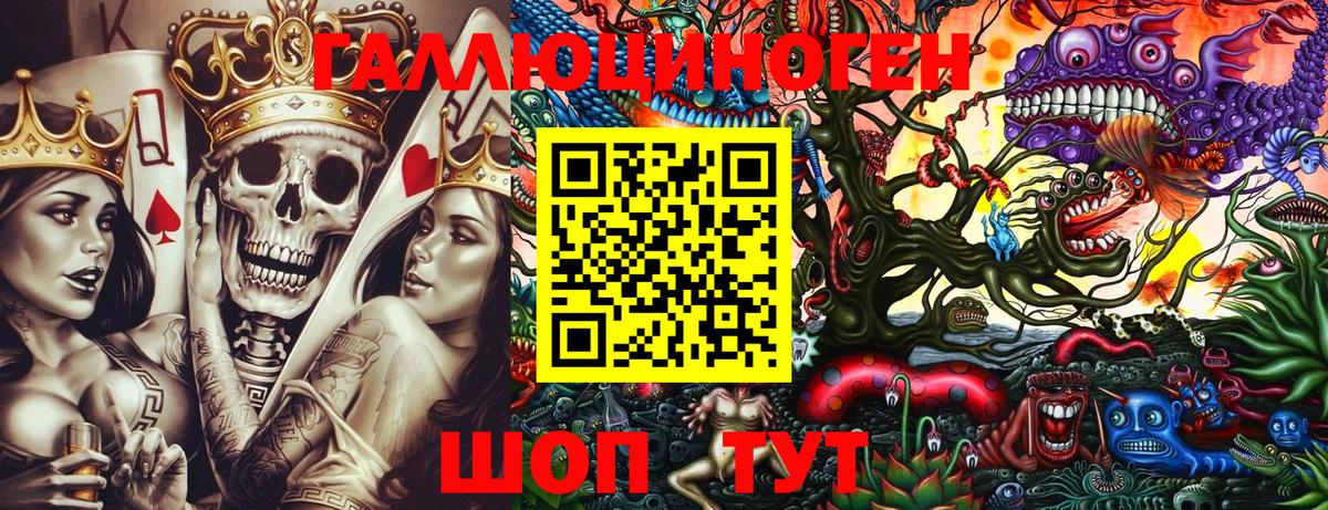 Псилоцибиновые грибы Psilocybe  Вход с VPN  Галлюциногенные грибы Psilocybe  Красный Сулин 